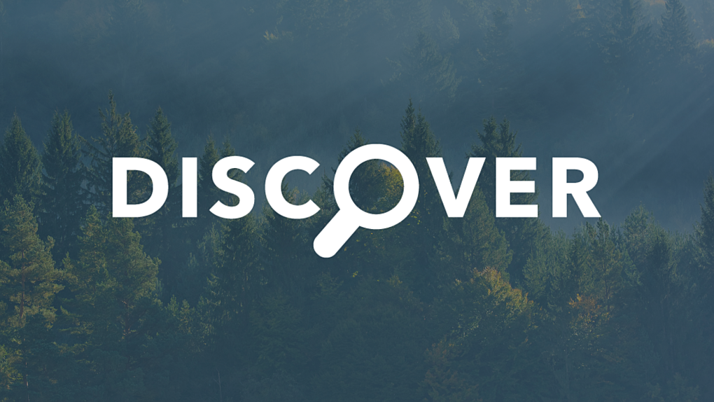 Discover WEB SLIDE