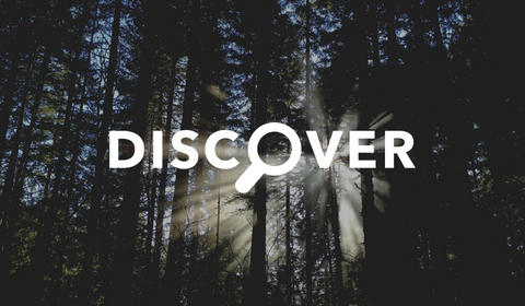 Discover Web Email 480 280 px