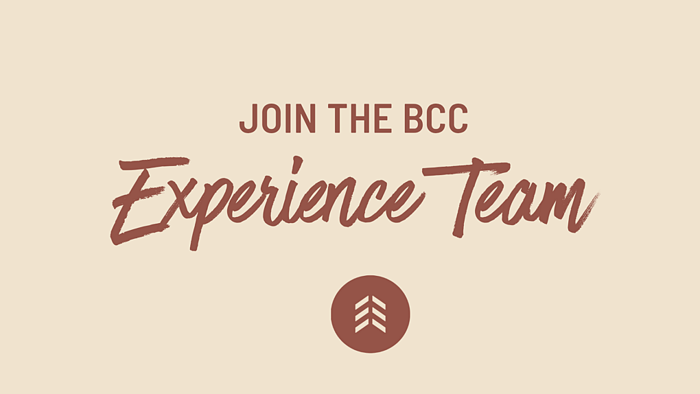 Experience Team QR Code 2