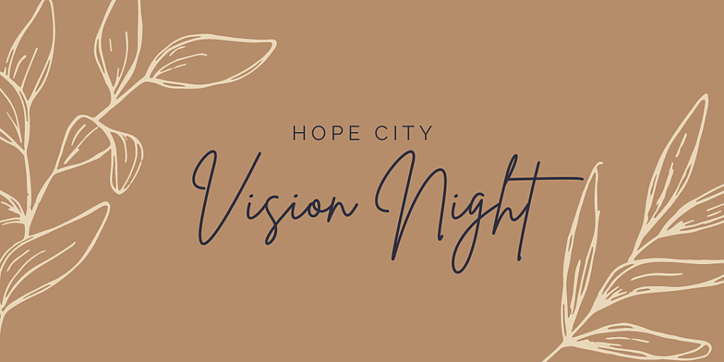 HCC Vision Night
