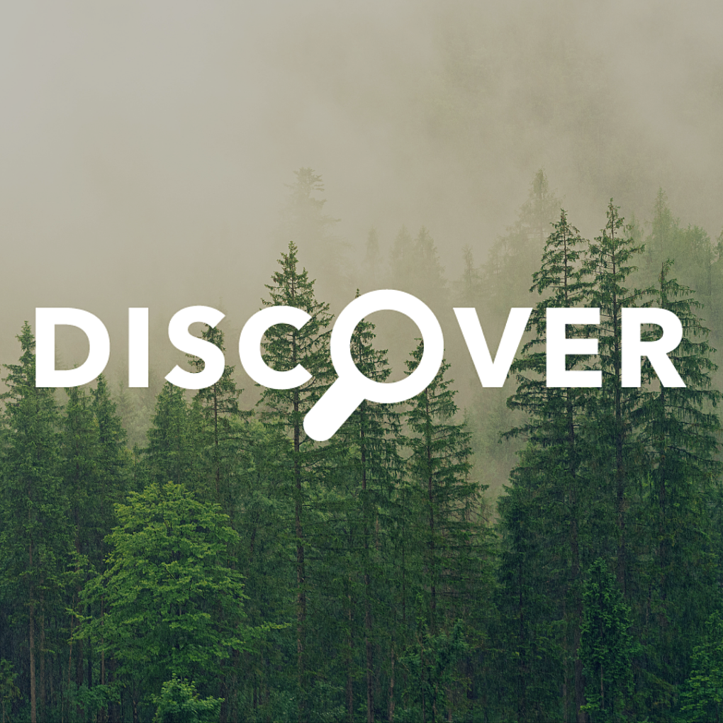 Discover wlogo