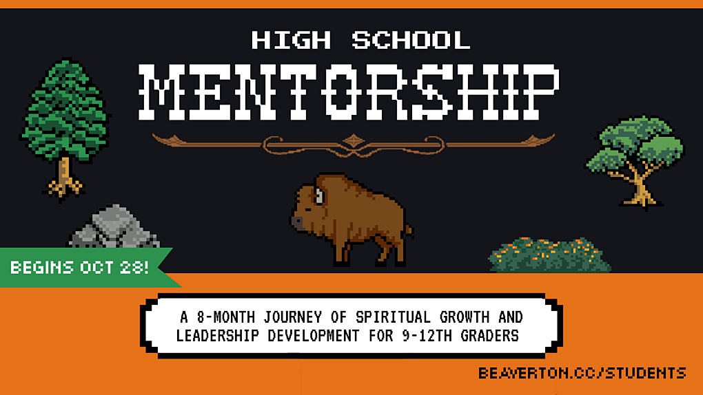 HS Mentorship SLIDE