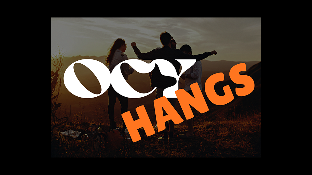 Website Hangs