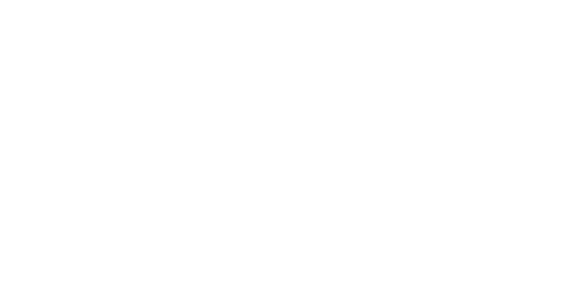 Next Steps logo 3x