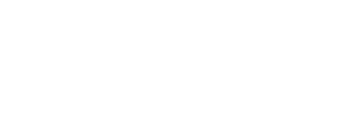 Asset 1