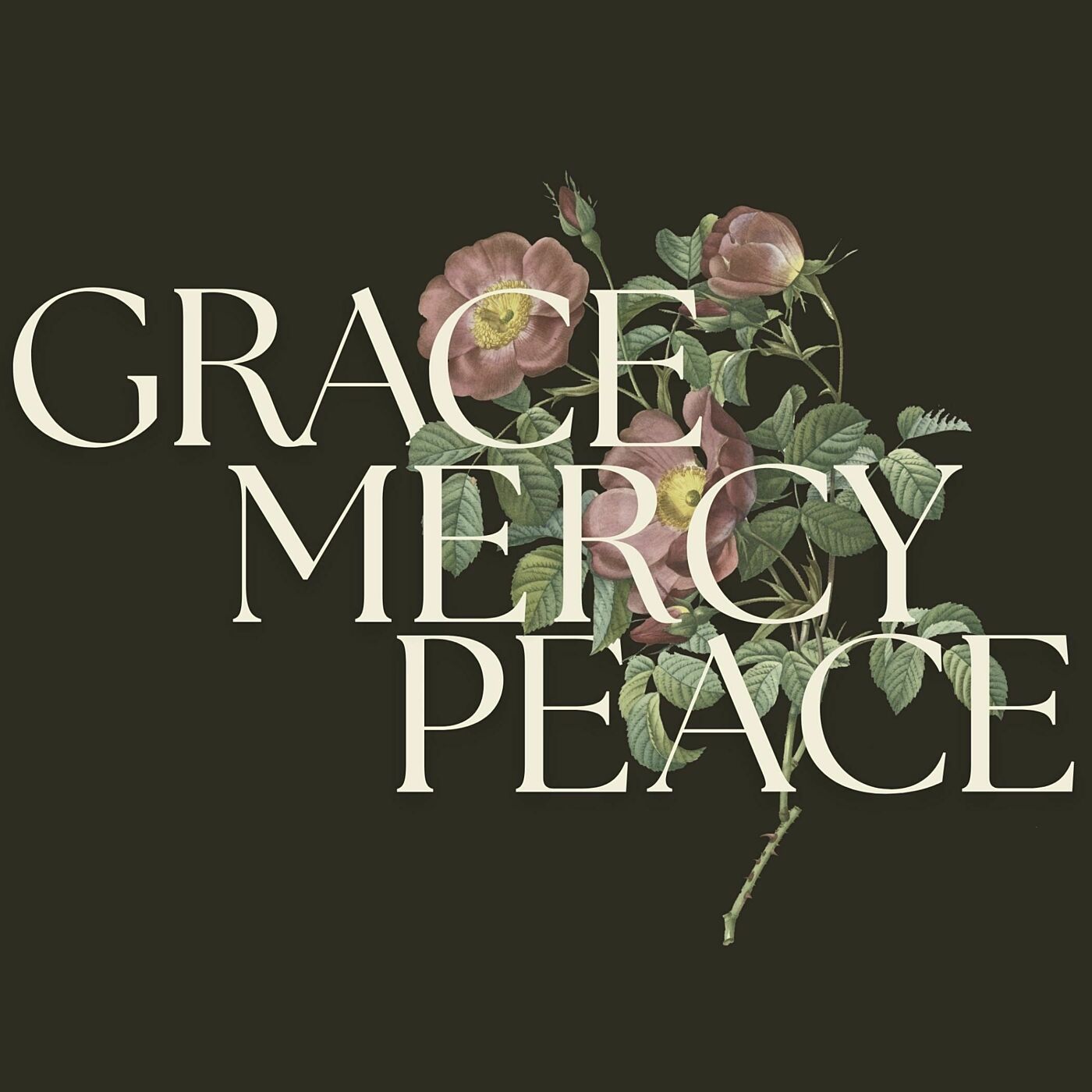 Grace, Mercy, Peace: God's Mercy is Boundless episode artwork